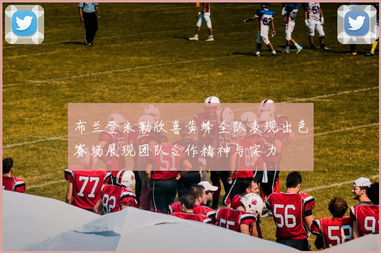 布兰登米勒欣喜黄蜂全队表现出色赛场展现团队合作精神与实力