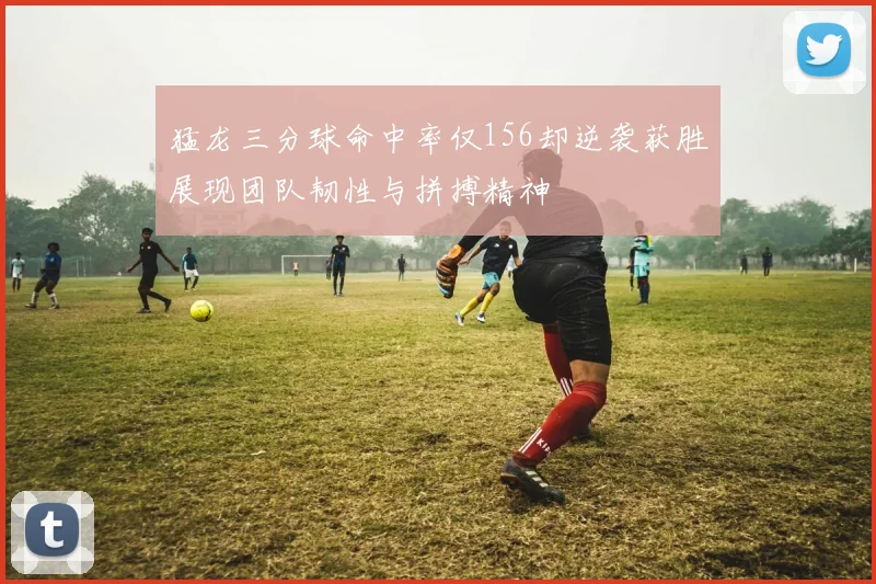猛龙三分球命中率仅156却逆袭获胜展现团队韧性与拼搏精神