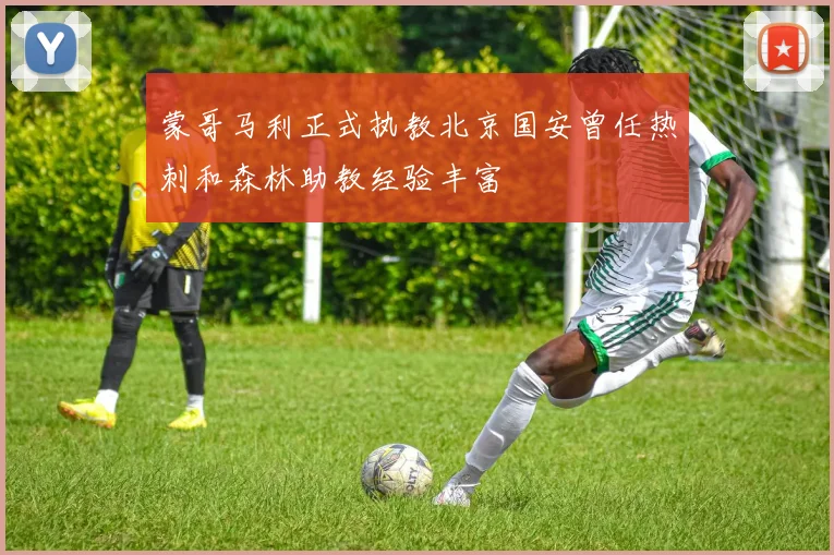 蒙哥马利正式执教北京国安曾任热刺和森林助教经验丰富